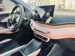BYD Seagull Vitality Edition - ფოტო 12