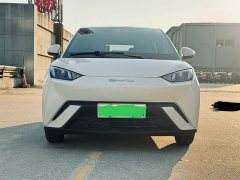 BYD Seagull Vitality Edition - ფოტო 2