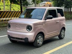 Geely Panda Mini 200km Endurance Edition - ფოტო 1