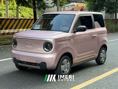 2023 Geely Panda Mini 200km Endurance Edition
