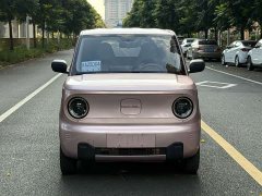 Geely Panda Mini 200km Endurance Edition - ფოტო 2