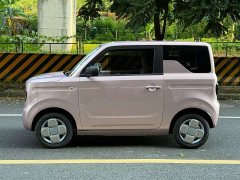 Geely Panda Mini 200km Endurance Edition - ფოტო 3