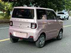 Geely Panda Mini 200km Endurance Edition - ფოტო 4