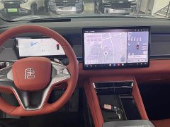 BYD Tang L DM 175KM Drone Enthusiast Edition - ფოტო 13