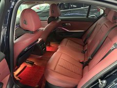 BMW 3 Series 320Li M Sport Package - ფოტო 9