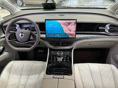 Denza BYD Denza D9 2022 DM-i 1040 Premium - ფოტო 7