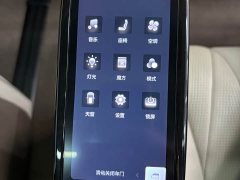 Denza BYD Denza D9 2022 DM-i 1040 Premium - ფოტო 8