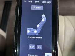 Denza BYD Denza D9 2022 DM-i 1040 Premium - ფოტო 9
