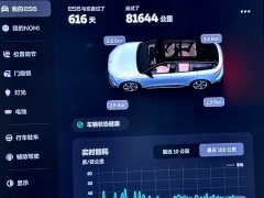 NIO ES6 75kWh - ფოტო 17