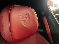 Porsche Cayenne 3.0T Platinum Edition - ფოტო 15