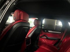 Porsche Cayenne 3.0T Platinum Edition - ფოტო 17