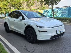 Tesla Model Y Rear-Wheel Drive - ფოტო 3