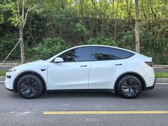 Tesla Model Y Rear-Wheel Drive - ფოტო 5