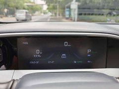 Geely Xing Yuan 310km Dream Edition - ფოტო 16