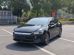 BYD Qin PLUS Champion Edition EV 510KM Leading - ფოტო 1