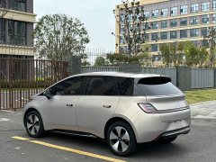 Baojun Yunduo 2023 460 Max - ფოტო 19