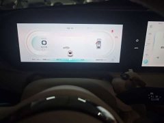 Ora Ballet Cat 2023 401km Deluxe - ფოტო 13