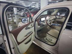 Ora Ballet Cat 2023 401km Deluxe - ფოტო 2