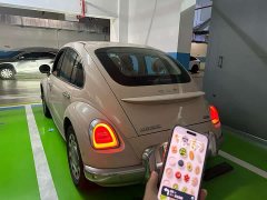 Ora Ballet Cat 2023 401km Deluxe - ფოტო 5
