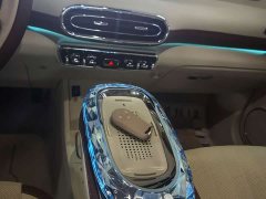 Ora Ballet Cat 2023 401km Deluxe - ფოტო 8