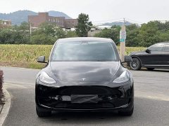 Tesla Model Y Rear-Wheel Drive - ფოტო 2