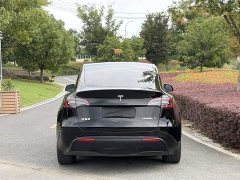 Tesla Model Y Rear-Wheel Drive - ფოტო 4