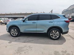 Haval H6 New Energy DHT-PHEV 55KM Comfort Edition - ფოტო 7