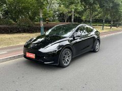 Tesla Model Y 2023 Rear-Wheel Drive - ფოტო 1