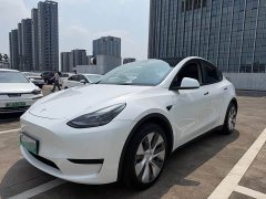 Tesla Model Y Rear-Wheel Drive - ფოტო 1