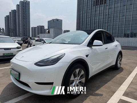 2022 Tesla Model Y Rear-Wheel Drive - ავტომობილი ჩინეთიდან