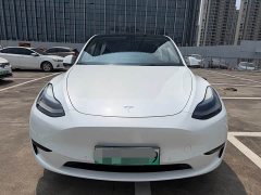 Tesla Model Y Rear-Wheel Drive - ფოტო 2