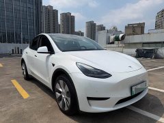 Tesla Model Y Rear-Wheel Drive - ფოტო 3