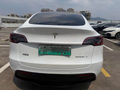 Tesla Model Y Rear-Wheel Drive - ფოტო 7