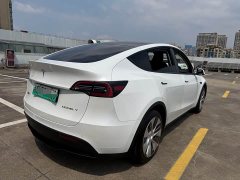 Tesla Model Y Rear-Wheel Drive - ფოტო 8