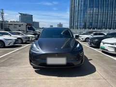 Tesla Model Y Rear-Wheel Drive - ფოტო 3