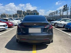 Tesla Model Y Rear-Wheel Drive - ფოტო 8