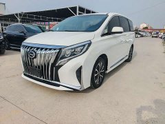 GAC Aion M8 Lingxiu Series 390T Premium Edition - ფოტო 1