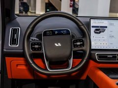 Li Auto L9 Ultra Smart Refresh Edition - ფოტო 13