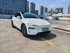 Tesla Model Y Long Range All-Wheel Drive - ფოტო 3