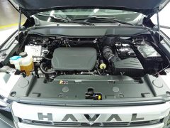 Haval Big Dog 2024 1.5T DCT Border Collie Edition - ფოტო 10