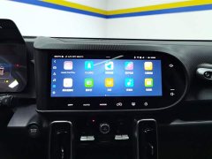 Haval Big Dog 2024 1.5T DCT Border Collie Edition - ფოტო 13