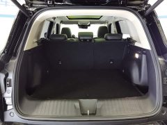 Haval Big Dog 2024 1.5T DCT Border Collie Edition - ფოტო 4