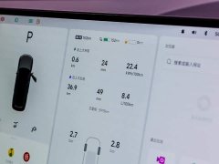 Li Auto L9 Ultra Smart Refresh Edition - ფოტო 14