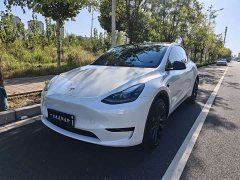 Tesla Model Y Rear-Wheel Drive - ფოტო 1