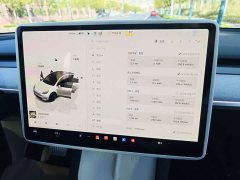 Tesla Model Y Rear-Wheel Drive - ფოტო 10