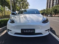 Tesla Model Y Rear-Wheel Drive - ფოტო 12