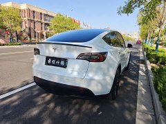 Tesla Model Y Rear-Wheel Drive - ფოტო 3