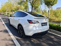 Tesla Model Y Rear-Wheel Drive - ფოტო 4