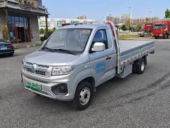 Dongfeng Richa EV ED71 2022 ED71 Cargo Pioneer Edition I - ფოტო 1