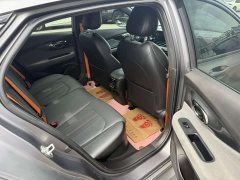 Trumpchi Leopard 270T DCT J16 R-style Track Edition - photo 10